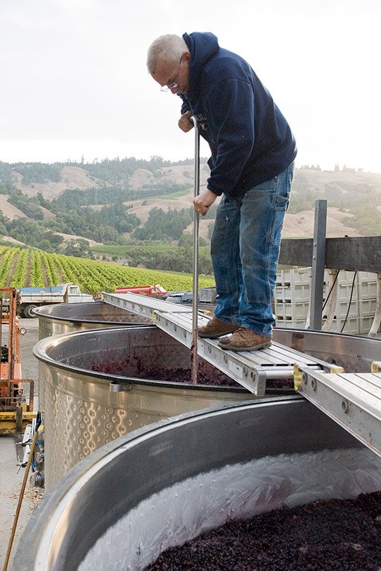 Winery worker stands above an open top tank and uses a tool to punch down red grape must.