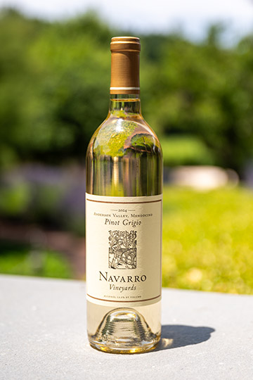 Bottle of 2024 Pinot Grigio