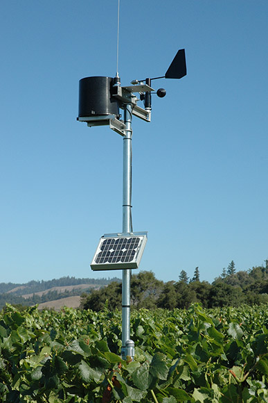 Weather monitoring station equipment perched above the vineyard canopy