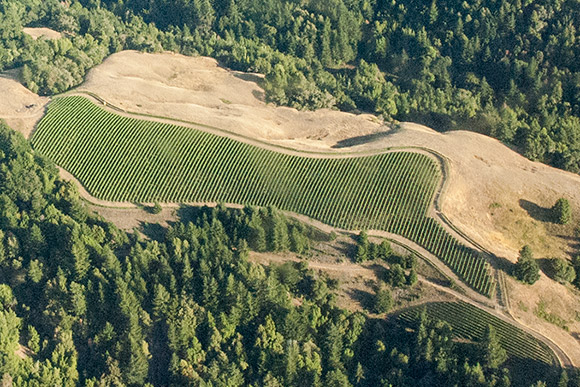 An aerial view of Middle Ridge and Fox Point vineyards in rural Anderson Valley. 
