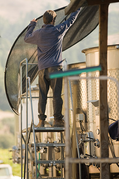 A winery worker throwing a mesh net on top of stainless steel fermentation tank.