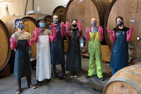 Navarro winery crush interns ready for punchdowns, September 2020.