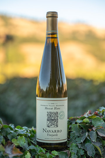 2024 Muscat Blanc, Estate Bottled
