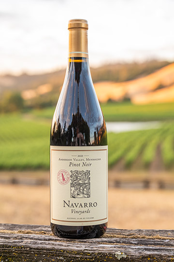 2023 Pinot Noir, Méthode à l'Ancienne
