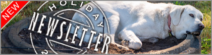 2025 Holiday Newsletter