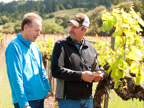 Jim and Casey in the vineyard.