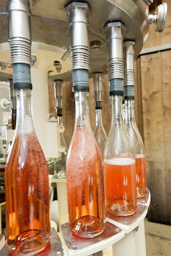 Rosé being filled in the winery.