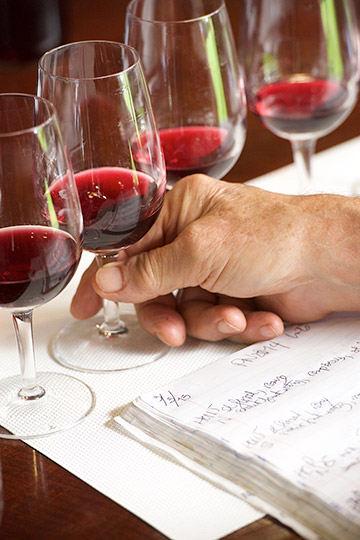 Four glasses of red wine and a notebook at a morning tasting panel