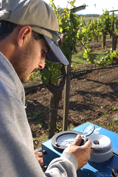 Gerardo uses a pressure chamber to measure plant water tension.