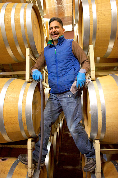 Ulises, a winery worker, topping wine barrels on a rack.