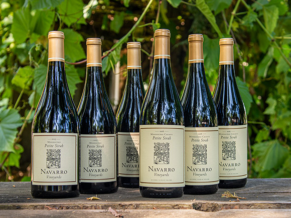 Six bottles, 3 each 2015 Petite Sirah and 2016 Petite Sirah, Mendocino