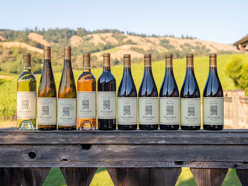 10 Bottle All New Sampler
