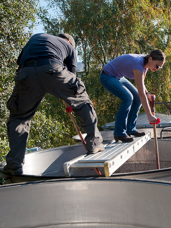 Punch downs over open-top fermentors.