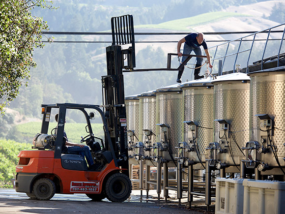 Removing the top of an open-top fermentor in the morning.