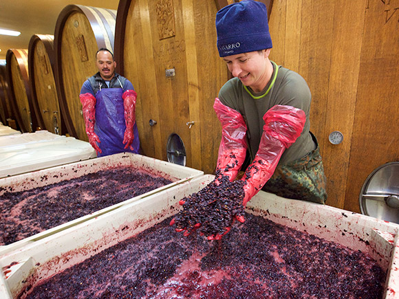 Sarah and Alfredo punching down fermenting must.