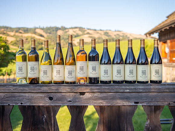 12 Bottle Sampler #1