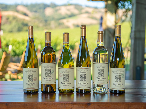 6 Bottle Sampler #4