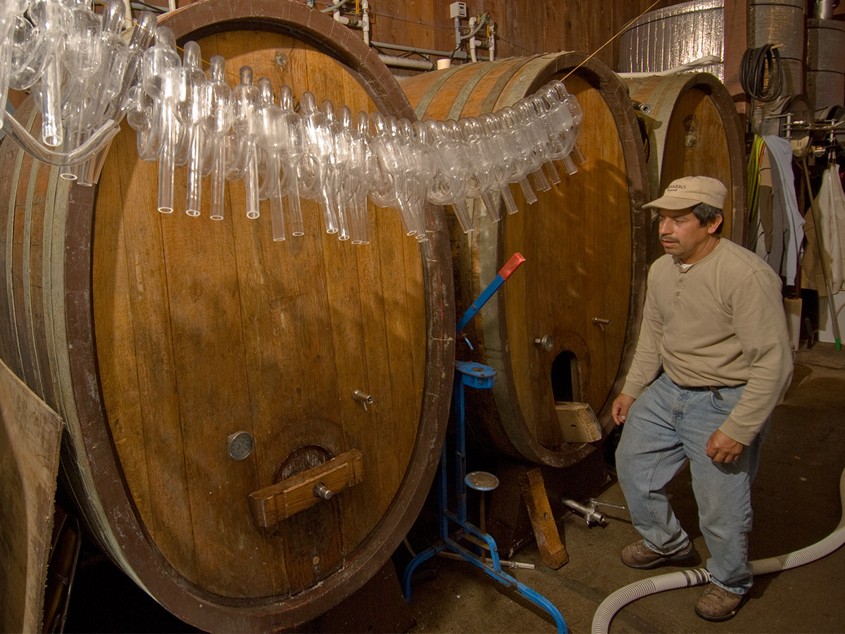 Navarro Vineyards - 2022 Gewürztraminer