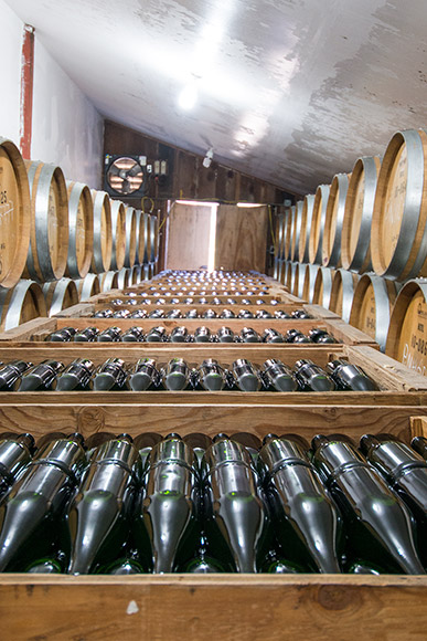 Wooden bins in a wine cellar containing stacked bottles of newly bottled sparkling wine.