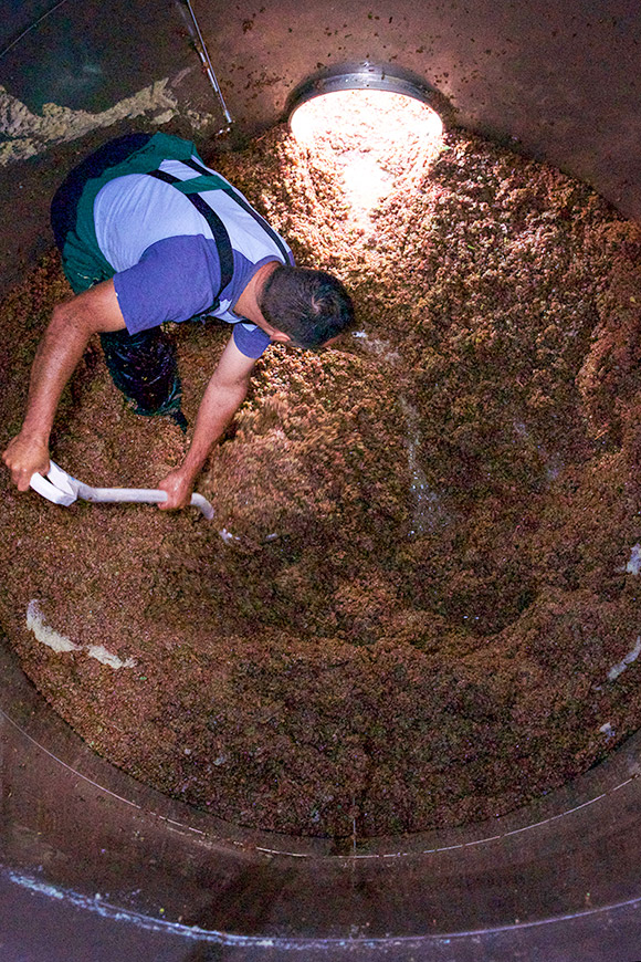 Alfredo inside a large stainless steel tank, shoveling out grape skins.