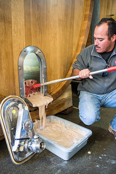 Alfredo removing yeast lees from a large oak ova