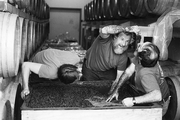 Old photo of ted and two winery employees feeding grapes to eachother