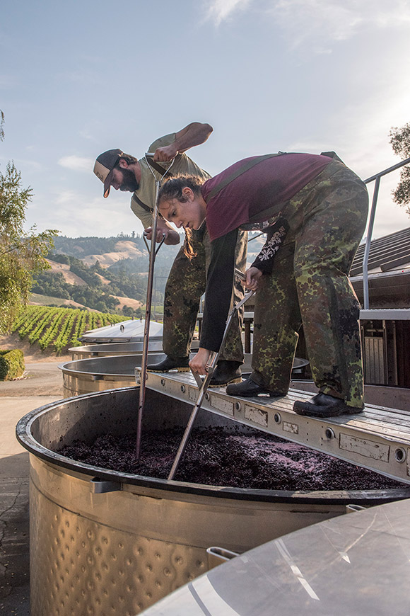 David and Bonnie, working from a plank, using a tool to punch down the floating cap of zinfandel skins during fermentation.