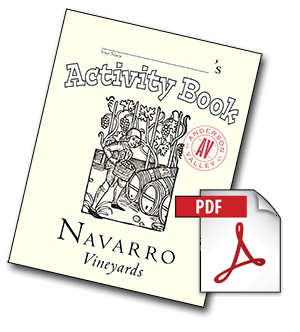 Navarro Activity Book PDF