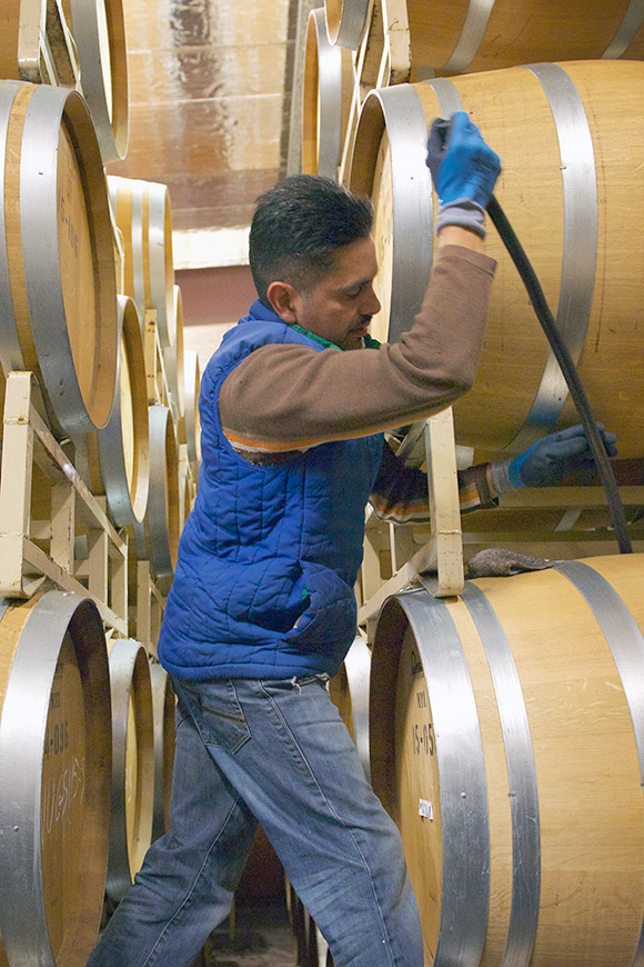 Ulises stirring the lees—dead yeast cells—in a barrel.