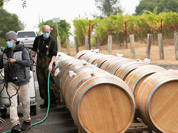 Ulises and Phil rinsing out seasoned French oak barrels prior to filling them with wine or fermenting juice.