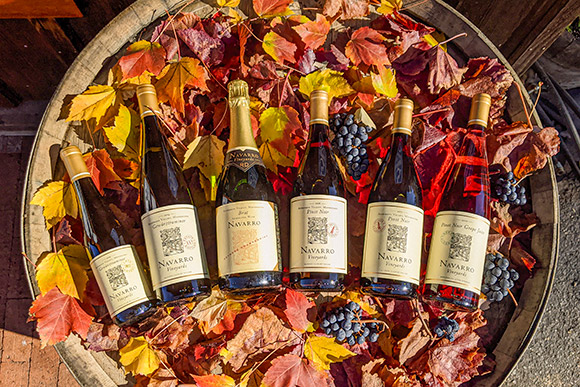 Six-bottle 2020 Thanksgiving sampler pack