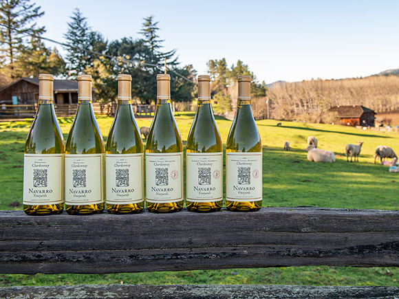 6 bottle White Wine Weekend sampler