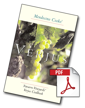 Navarro Verjus Cookbook PDF