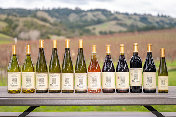 12 Bottle Intro to Navarro Sampler