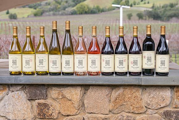 12 bottle Family Takeout sampler