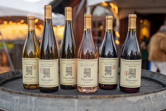 6 bottle Ponds are Full sampler