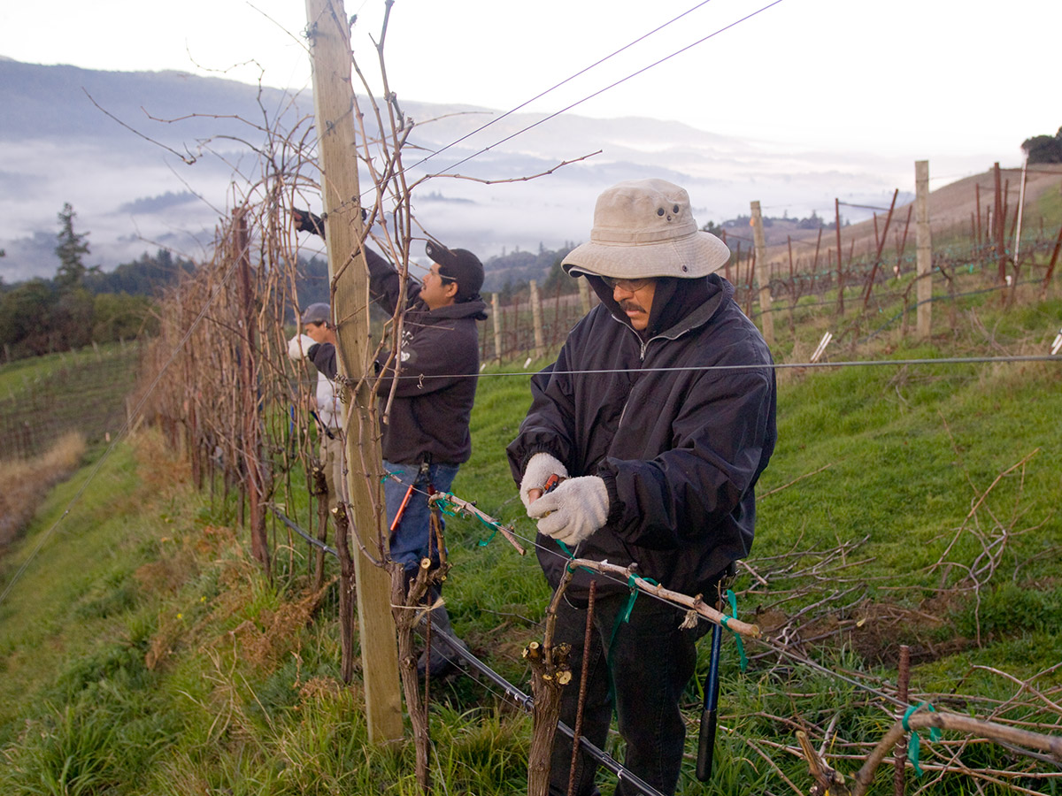 Navarro Vineyards - 2022 Gewürztraminer